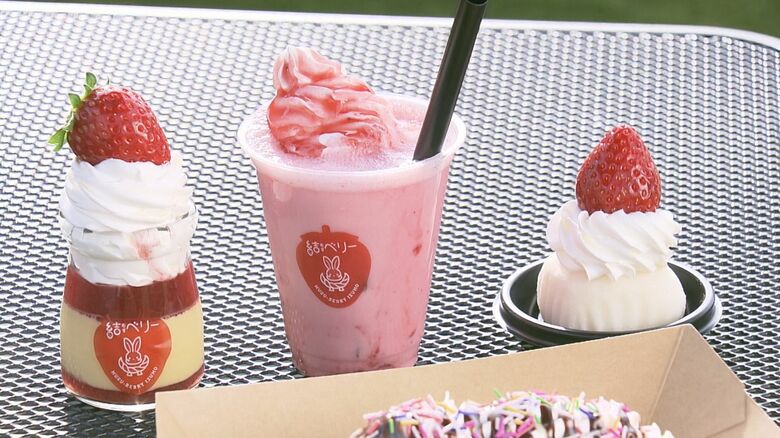 様々なイチゴスイーツが楽しめる