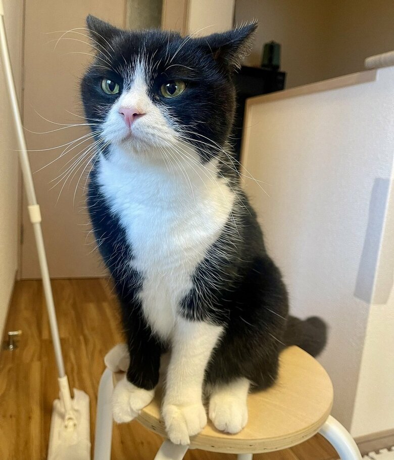 スンとした表情