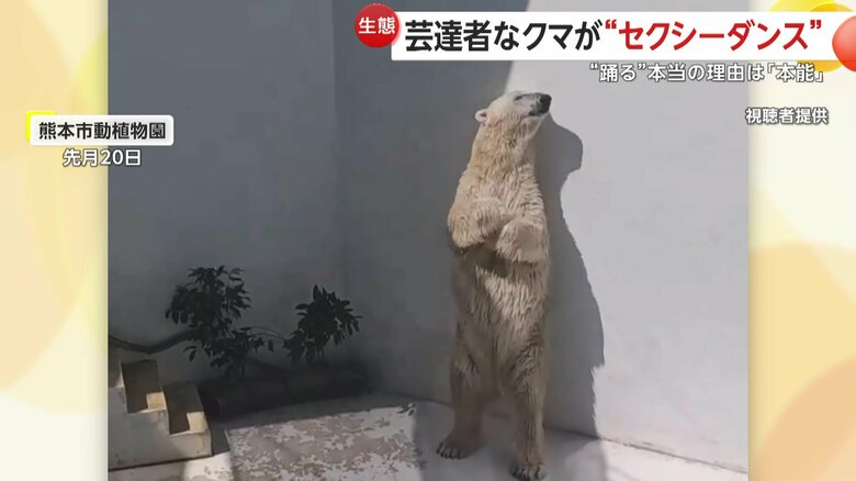 海外からも「セクシー！」との声があがっているという