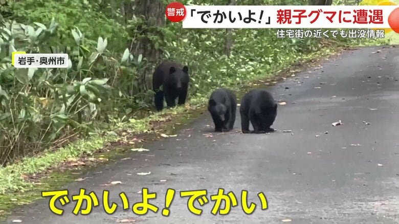 「でかいよ！でかいでかい」と声をあげる撮影者