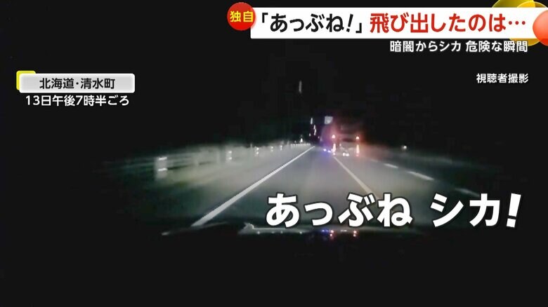 突然飛び出す体長約2mの大型のシカ