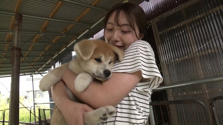 子犬と触れ合い、抱っこ体験もできる