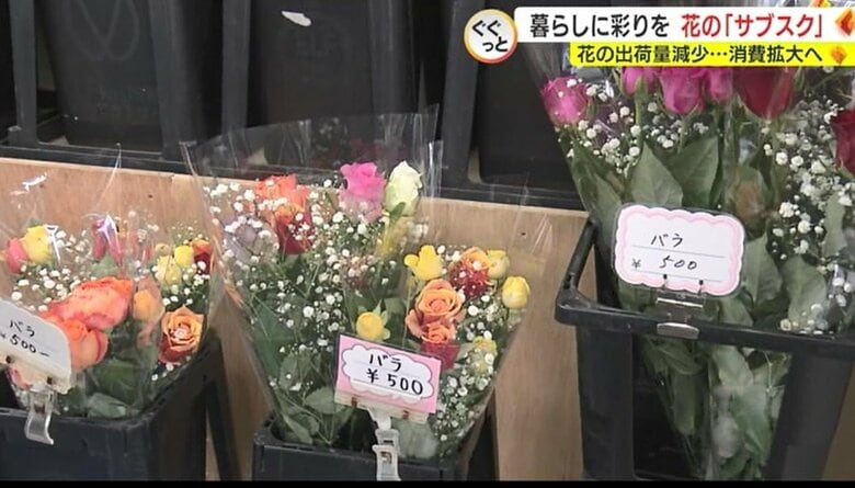ハウスで直売