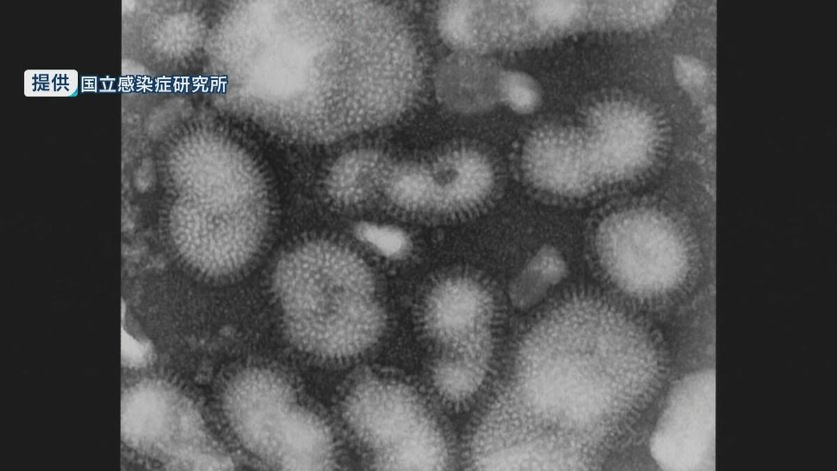感染者数は4週連続で減少も859人…「インフルエンザ」は16週連続で警報