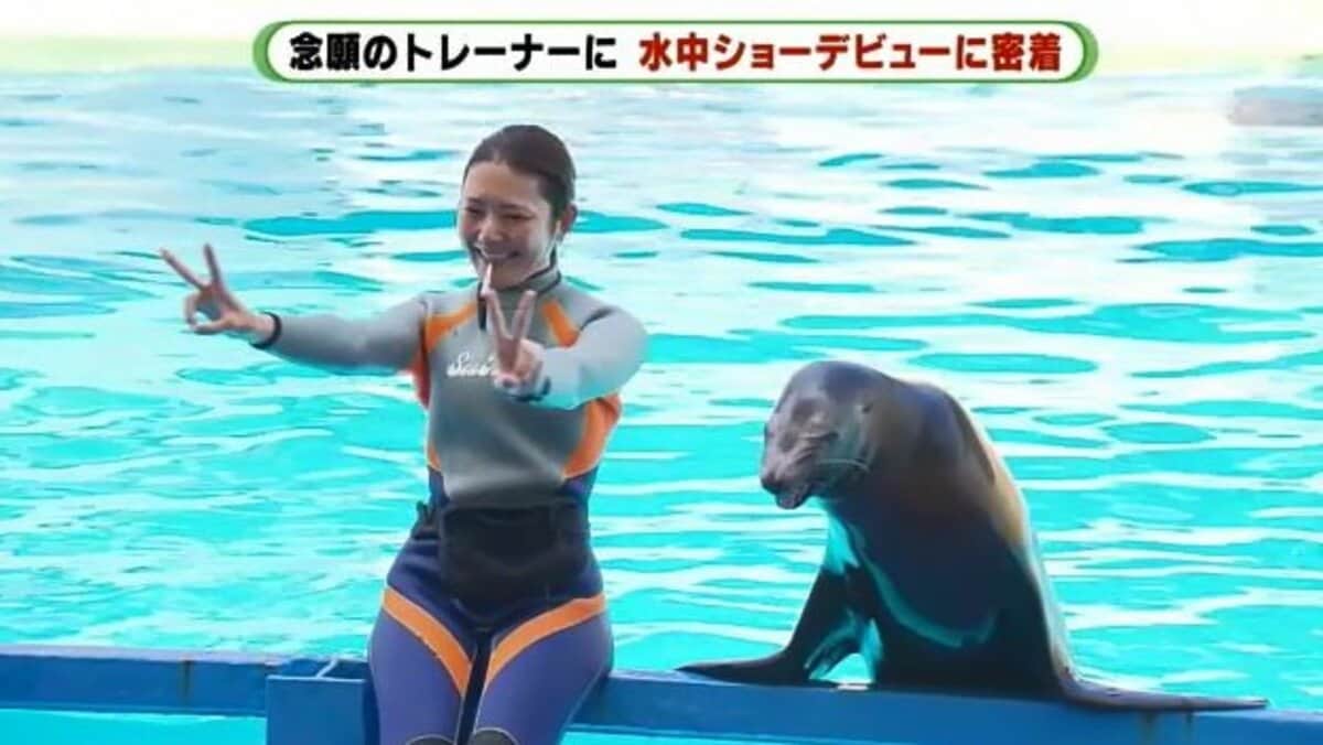 アシカの新人トレーナーが相棒 サニーと挑む 水中ショー なめられても 魅力を伝えたい デビューまでの1カ月半に密着 静岡発 Fnnプライムオンライン