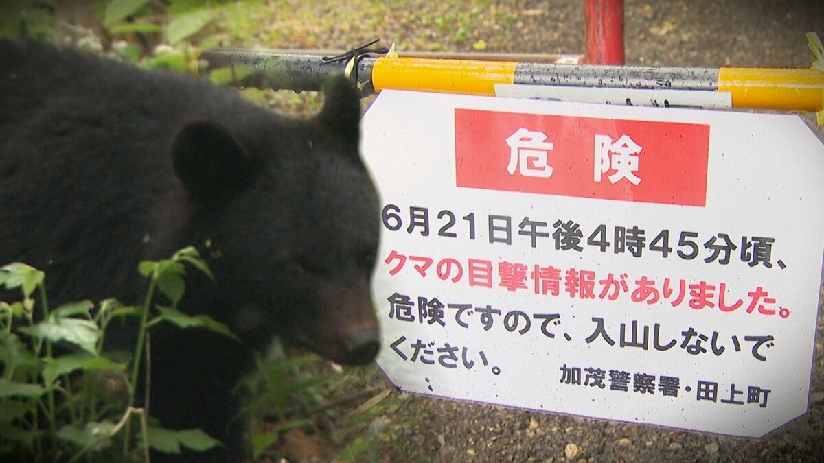 クマ”の目撃情報で一時入山規制も…軽装で入山する人の姿「ばったり