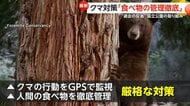 “餌付け”の反省から「GPS監視」「食べ物の管理徹底」で被害98％減少　「ヨセミテ国立公園」クマ対策の成功例