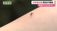 長崎市の10代男性が日本脳炎に感染　市内での発生は25年ぶりで市が注意を呼びかけ