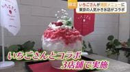 佐賀ブランド「いちごさん」東京の人気かき氷店とコラボ　15～20個使った贅沢メニューも登場【佐賀県】