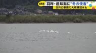 豪雨被害の邑知潟に「冬の使者」飛来　コハクチョウ16羽、去年より2日早く