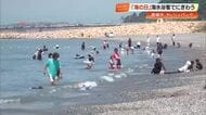 「最高ー！」海の日でにぎわう香南市のヤ・シィパーク　足だけのつもりが、たまらずダイブ！【高知】