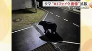 「ＡＩで作った」本人告白…女川町のクマ画像はフェイク　目撃情報も虚偽…保育所にはバリケードも〈宮城〉