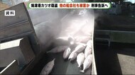 新潟・長崎の船会社も漁協職員らを窃盗容疑で告訴へ 賠償請求も 静岡・焼津港カツオ盗難