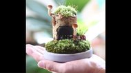 まるで妖精の家!本物のキノコを使ったアートが可愛い…作り方のポイントを投稿者に聞いた