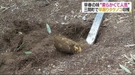 土の中から春がやってきた!宇和島市三間町で早掘りタケノコの収穫【愛媛】