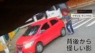 「赤ちゃんはどうなる？」託児所で母親が車を降りたすき…赤ちゃん乗せた車盗まれる　別の車で執念の追跡　ブラジル