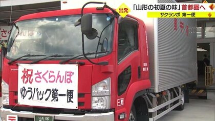 山形の初夏の味を全国へ！　さくらんぼゆうパック第一便が出発 平年並み約48万箱の出荷見込む【山形発】