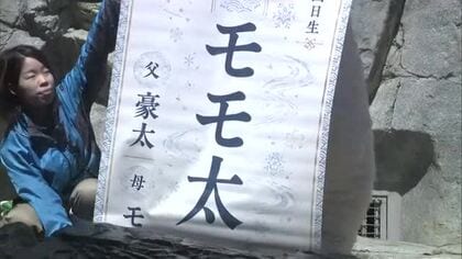 ホッキョクグマの子供の名前は「モモ太」　5000票を超える来館者投票で決定　秋田・男鹿市