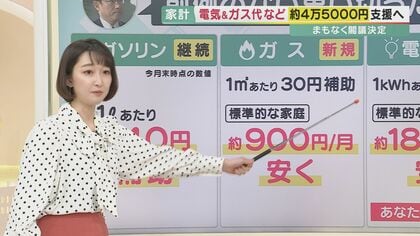 約45,000円の負担減　家庭には「前例のない」助けとなるか【大阪発】