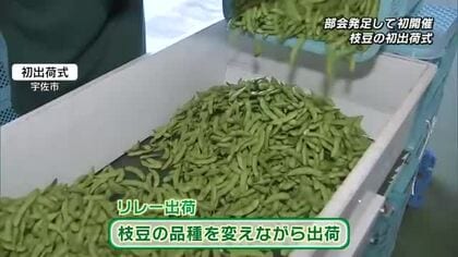 枝豆の初出荷式「初だるま」の出来を確認　大分・宇佐市