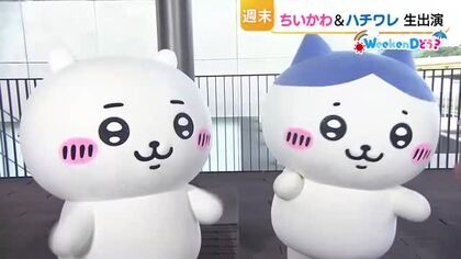 「ちいかわ」と「ハチワレ」22日のまつえ土曜夜市に登場！写真撮影会を開催　夏休みの思い出に（島根）