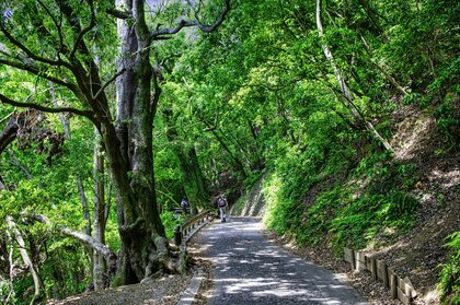 高尾山にツキノワグマ　人気の登山道1号路付近で確認　シルバーウィーク控え八王子市が注意呼びかけ