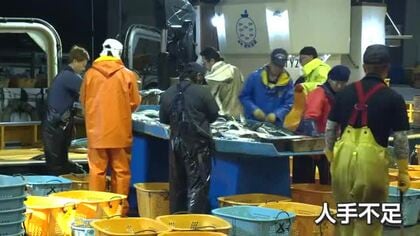 【動画あり】 多様な人材が支える富山の漁業、人手不足解消への新たな取り組み