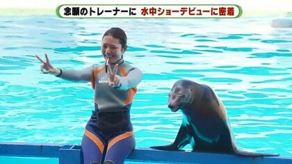 アシカの新人トレーナーが相棒・サニーと挑む“水中ショー”　なめられても「魅力を伝えたい」デビューまでの1カ月半に密着【静岡発】