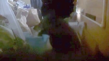 「やっぱりいるんだな」冬眠中のはずが…民家にクマ侵入の一部始終　なぜ目撃相次ぐ？専門家「冬眠の仕方知らない若いクマの可能性」