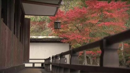 紅葉が見頃を迎えた「えさし藤原の郷」　幻想的なライトアップも　岩手県奥州市
