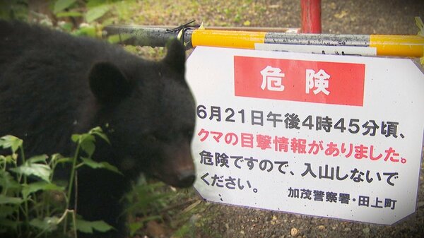 クマ”の目撃情報で一時入山規制も…軽装で入山する人の姿「ばったり