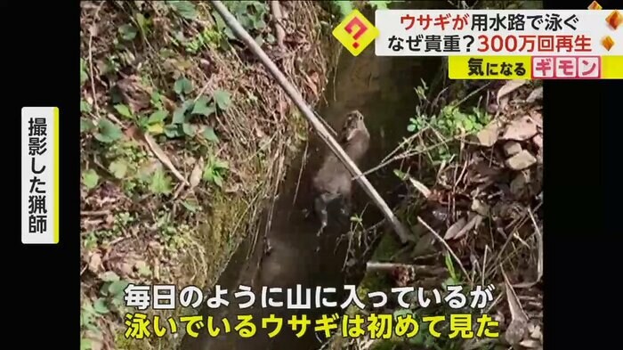 (ヒロさん撮影)
