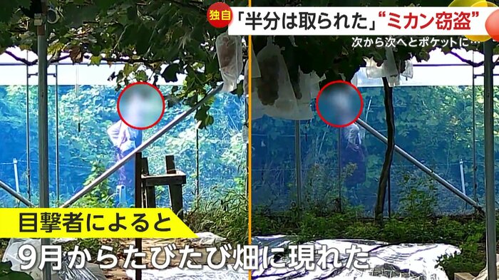 複数回現れていた（FNN投稿サイト「ビデオPost」）