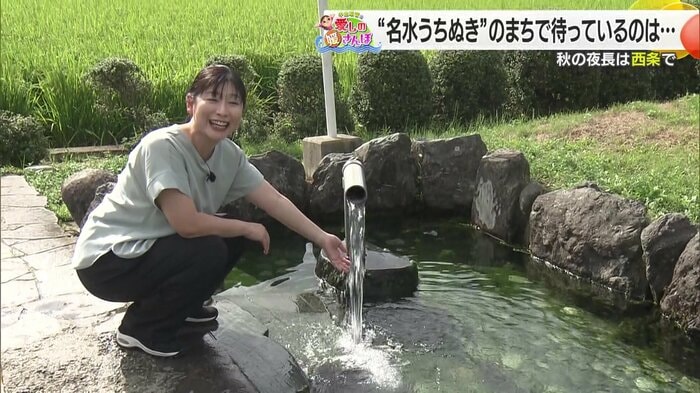 うちぬきの水も冷たい西条市