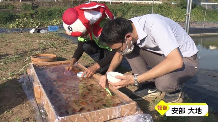 お手製の金魚の被り物も