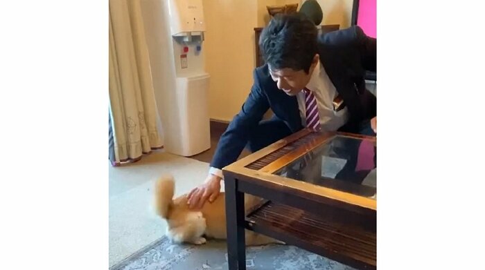 パパさん帰宅 尻尾をフリフリするもテーブルの下に隠れている
