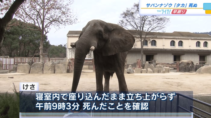 １９日午前９時３分に死んだことが確認