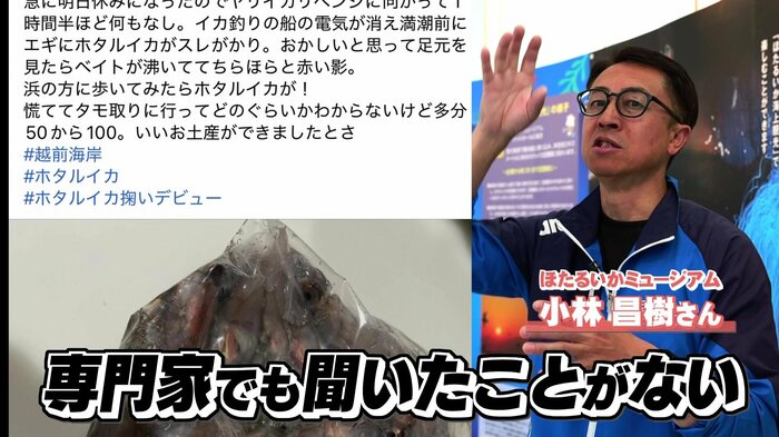 “身投げ”は富山以外では聞いたことがない…
