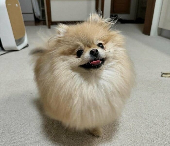 ニッコリ笑顔