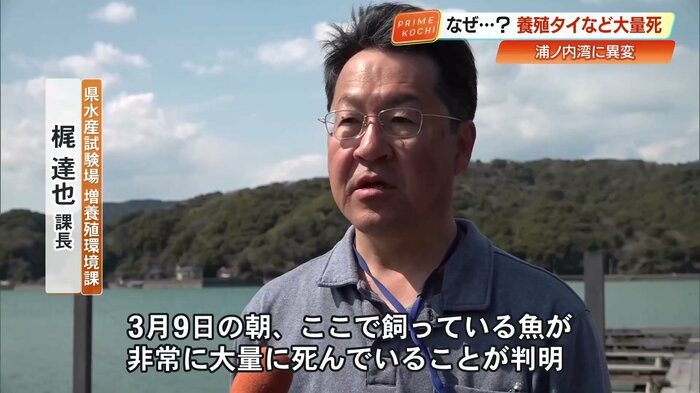状況を語る県水産試験場・梶達也 課長