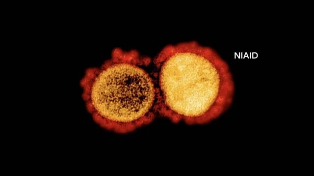 【速報】新型コロナ 鹿児島市の高齢者施設でクラスター 12人感染を確認