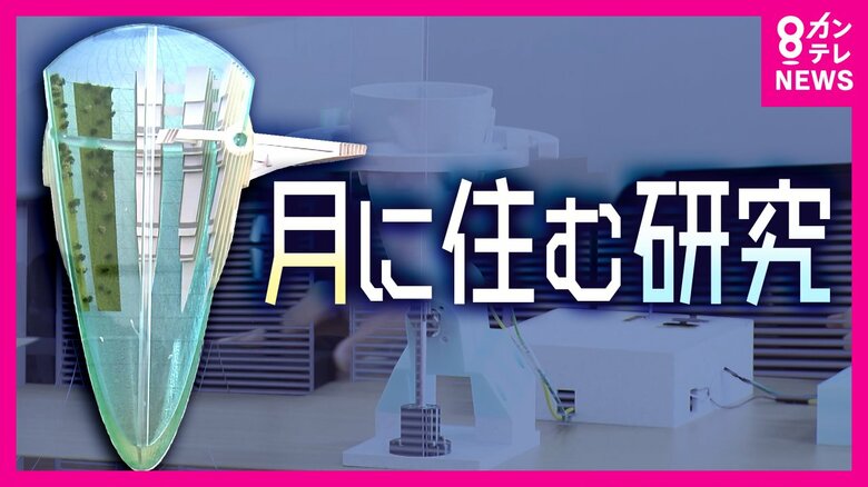 「月に住む」人類の夢　重力発生させ地球と同様に生活できる施設　京都大学と鹿島建設「ルナグラス」構想　具体的な研究開始｜FNNプライムオンライン