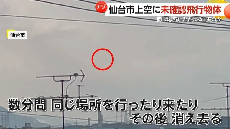 【未確認飛行物体】仙台上空に浮かぶナゾの黒い点…UFOか!?ドローンか!?その正体は…「チョウゲンボウ」だ！｜FNNプライムオンライン