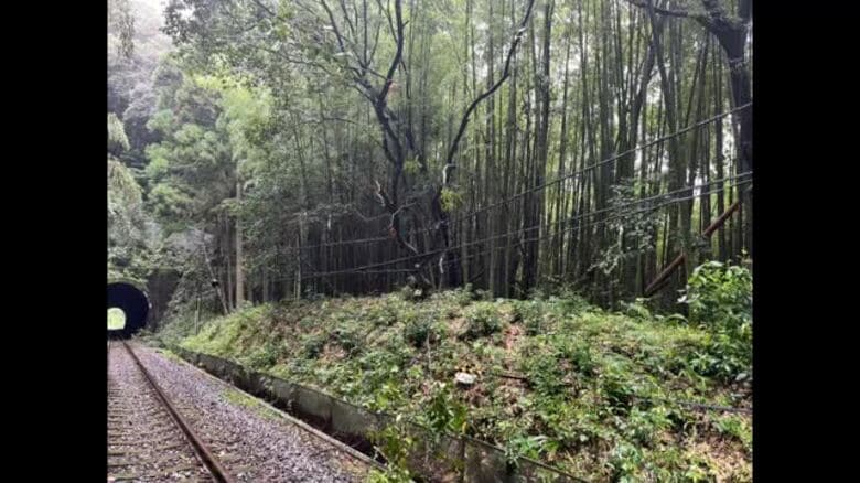 【続報】土讃線運転再開　岡山・香川～高知の特急一部運休　午後２時４０分ごろ平常ダイヤに【香川・岡山】｜FNNプライムオンライン