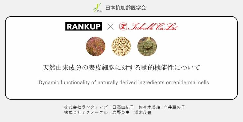 【ランクアップ×テクノーブル　継続的・発展的共同研究】三年連続で3つの天然由来美容成分で新たなエイジングケアの機能性を発見！細胞の変化を動的にとらえることで見出された表皮に関する新知見を学会で発表