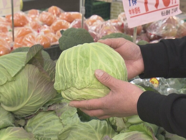 小ぶりなまま高騰が続く可能性…水不足の影響で葉物野菜が小型化 スーパーの売り場では“霧吹き”活用も｜FNNプライムオンライン