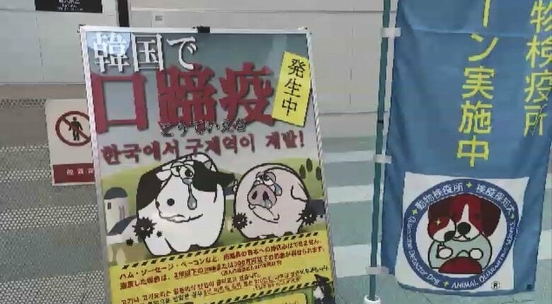 “海外から肉や肉製品を持ち込まないで”　GW前に福岡空港で呼びかけ　アジア地域で「アフリカ豚熱」「口蹄疫」感染報告相次ぐ｜FNNプライムオンライン