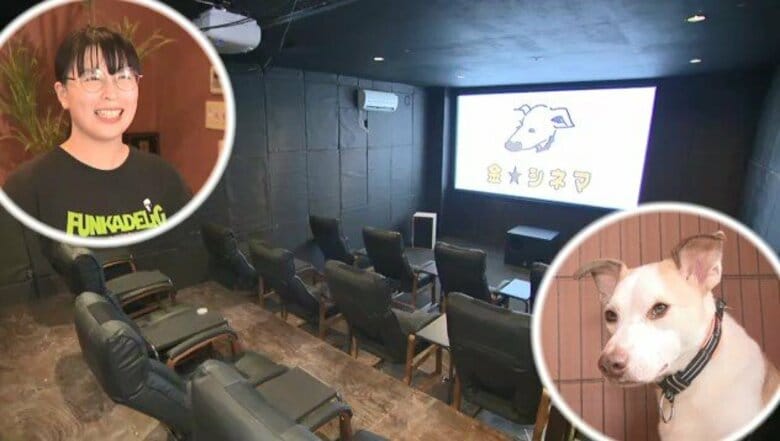 「自分の住んでる街に映画館がないのは物足りない…」伊東市に37年ぶりとなる映画館をオープンさせた若き女性の思いと行動力｜FNNプライムオンライン