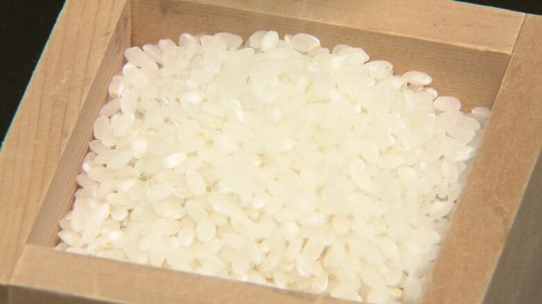 民間のコメ輸入量95倍で過去最多…令和の米騒動受け1015トンから9万6834トンに　企業が採算取れると判断か｜FNNプライムオンライン