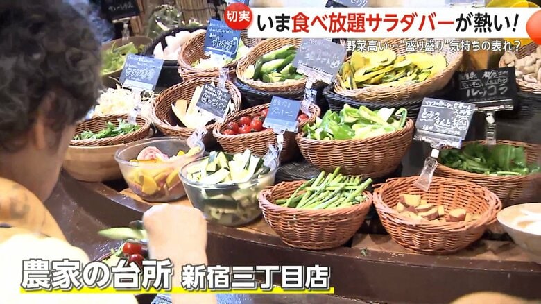 「3カ月分は食べたい」野菜高騰で“食べ放題サラダバー”大盛況　「泉州水ナス」「塩トマト」こだわりの産直野菜食べ放題が人気急上昇｜FNNプライムオンライン